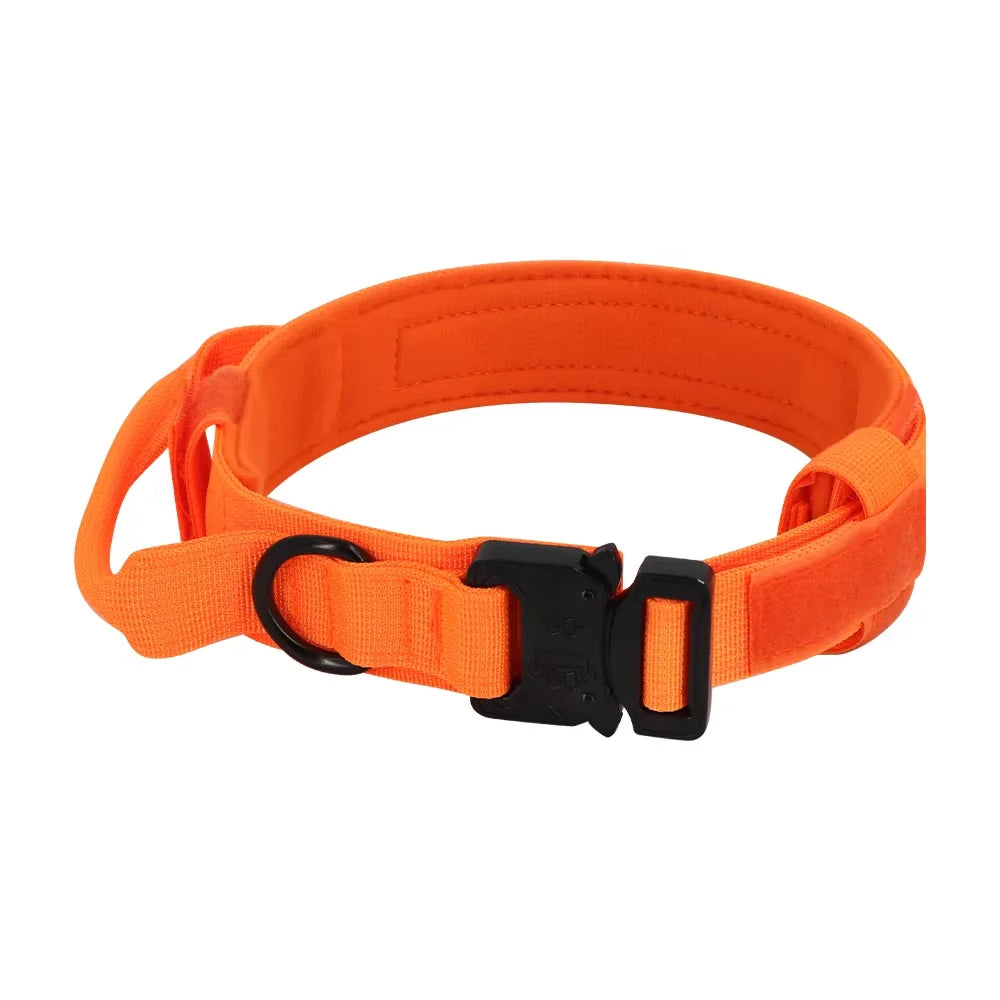 Adjustable Dog Training Collar and Leash Set With Control Handle