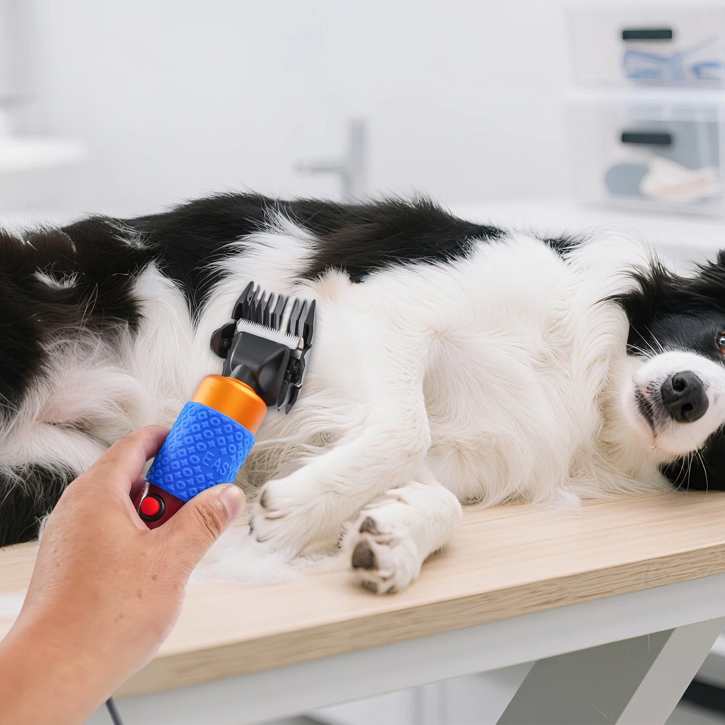 Professional Dog Clipper And Cat Hair Trimmer Grooming Kit
