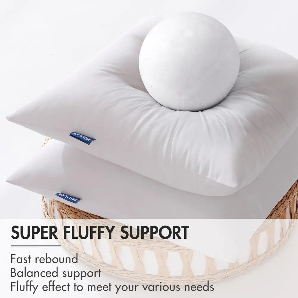 Outdoor Pillows Set Of 2 Waterproof Decorative Throw Cushions