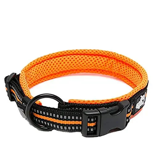 TRUELOVE Adjustable Nylon Dog Collar With Padded Reflective