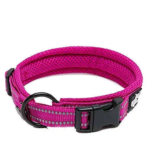 TRUELOVE Adjustable Nylon Dog Collar With Padded Reflective