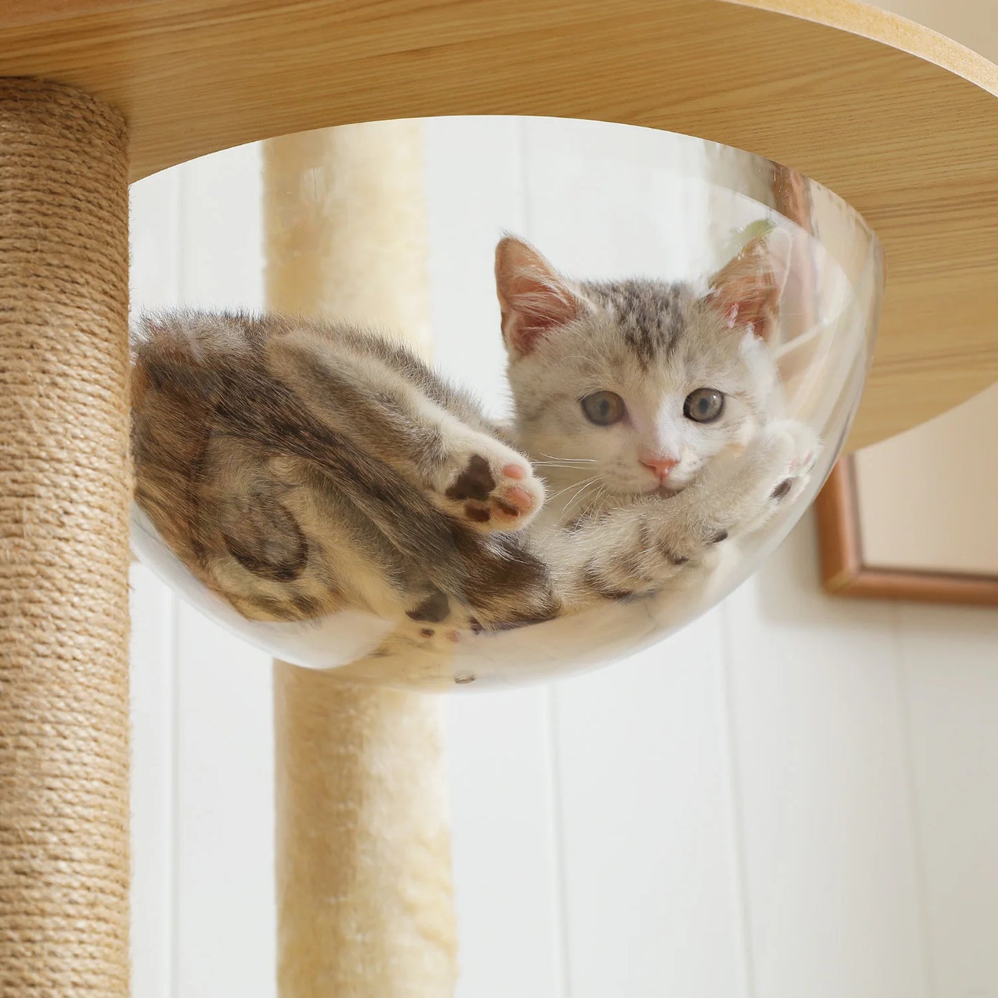 PAWZ Ro Multilevel Cat Tree Wood Tower With Scratching Posts