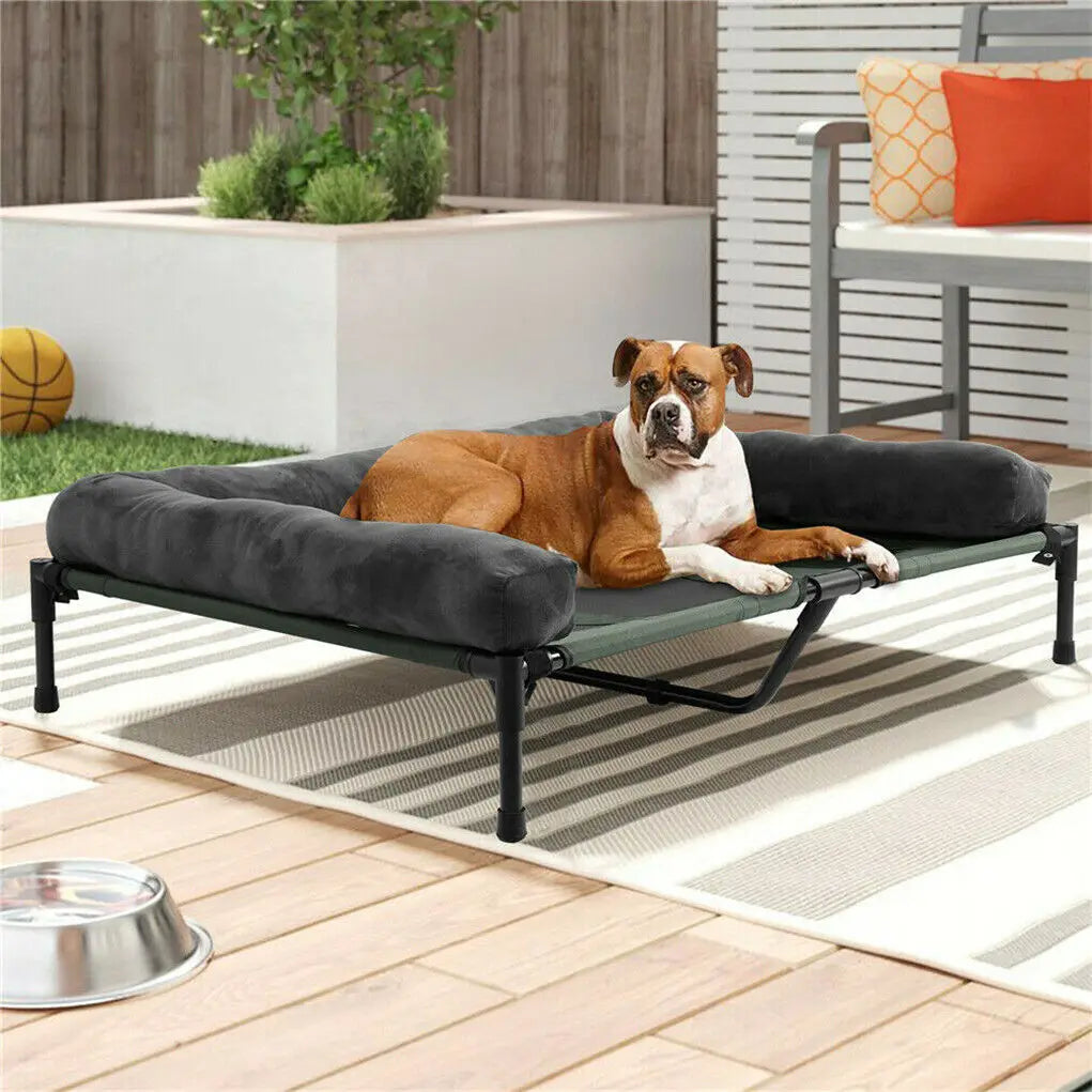 BINGOPAW Indoor Outdoor Elevated Dog Bed With Detachable Plush Bolster