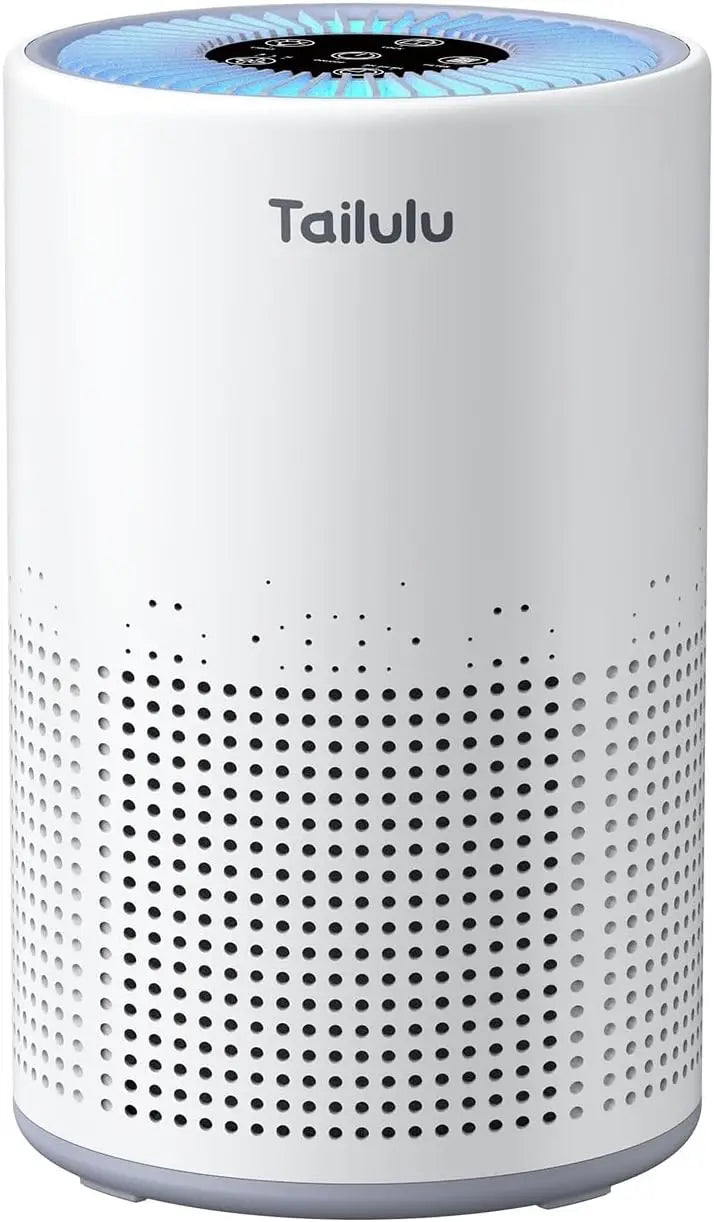 Bedroom Air Purifier With H13 True HEPA Sleep Mode