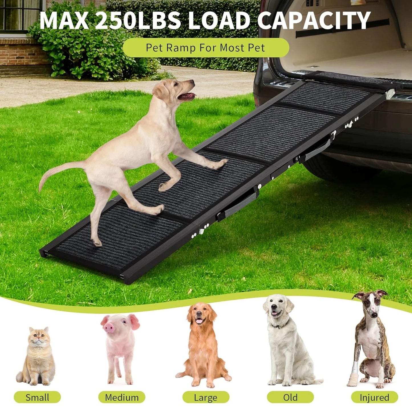 HiMISS Upgraded Car Dog Ramp Folding Non Slip Surface