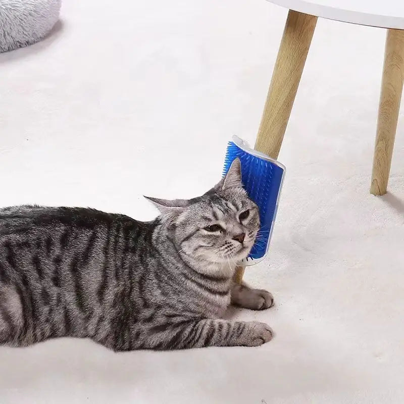Cat Massage Brush for Hair Removal and Self Cleaning