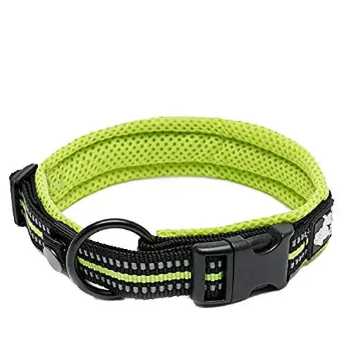 TRUELOVE Adjustable Nylon Dog Collar With Padded Reflective