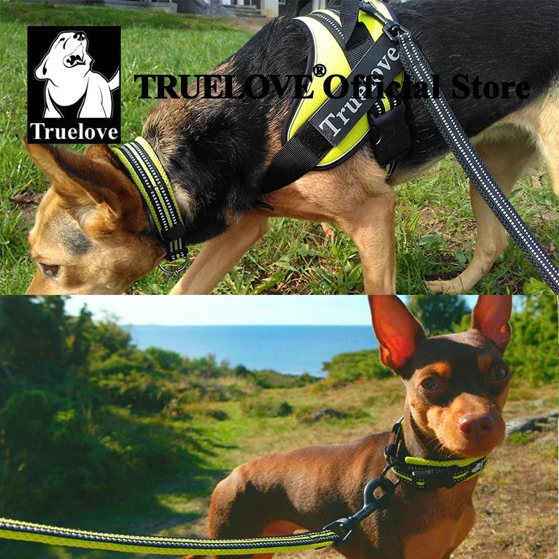 TRUELOVE Adjustable Nylon Dog Collar With Padded Reflective