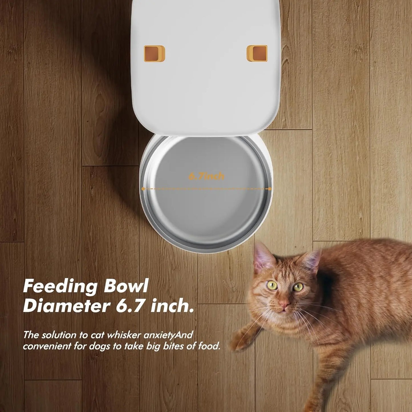 Nityers 8L Automatic Cat Feeder With Voice Recorder And Stainless Steel Bowl