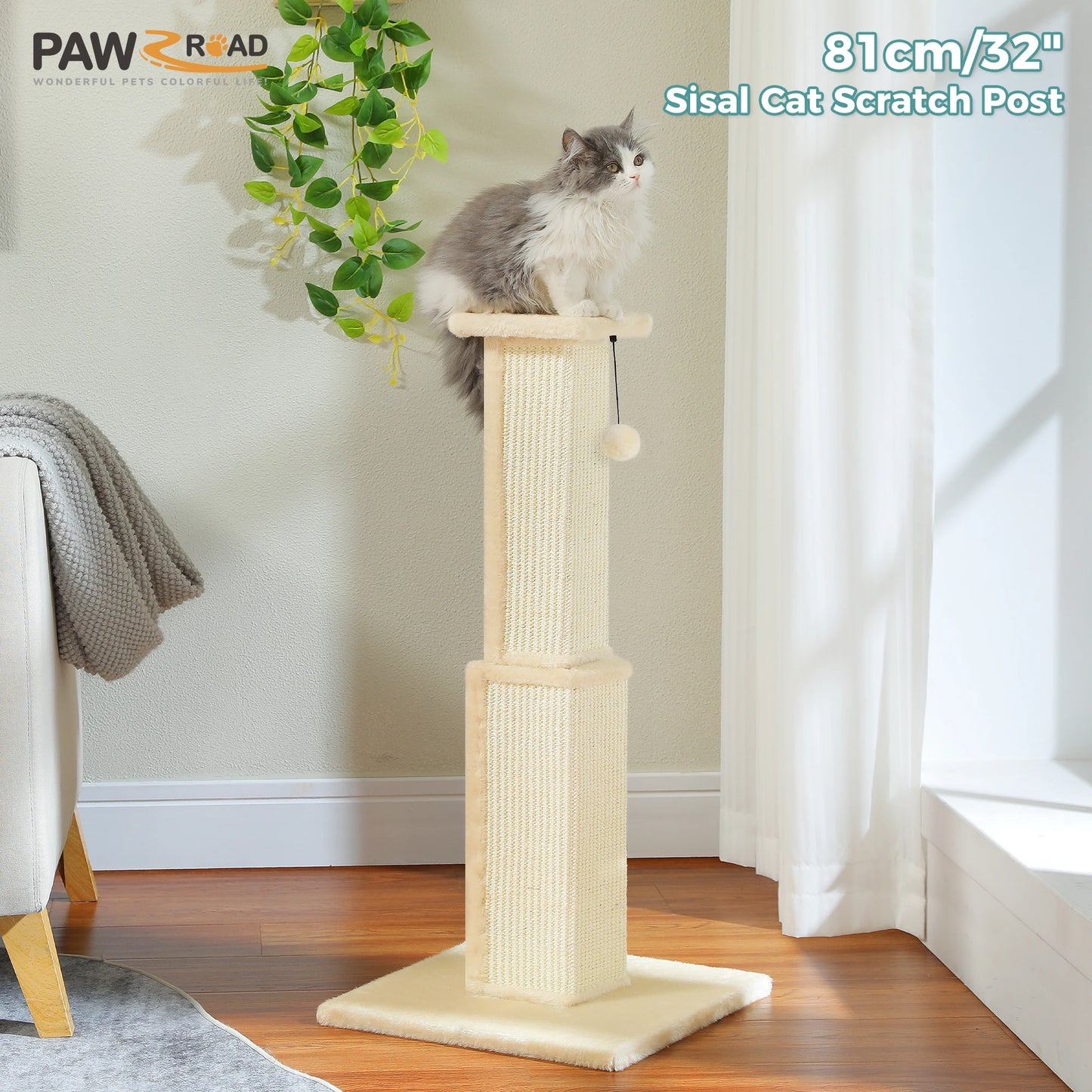 PAWZ Road Indoor Cat Scratching Post With Sisal Ball Toy
